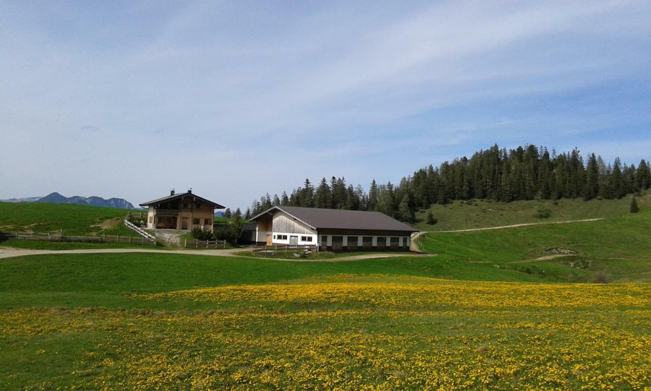 Moahof Apartment Alpbach Exterior photo